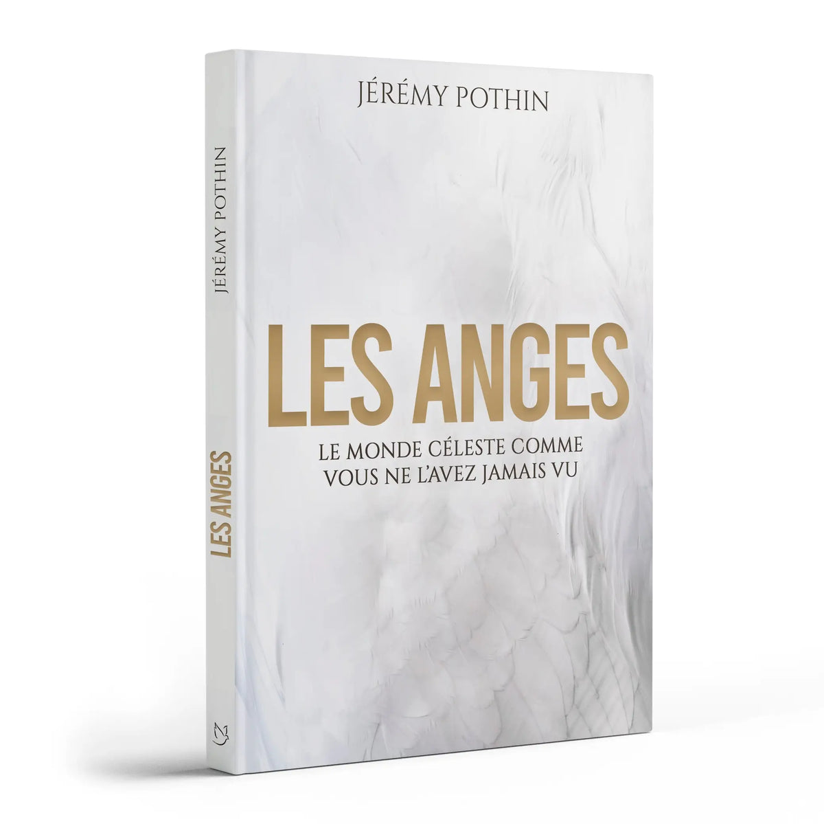 Livre LES ANGES de Jérémy Pothin