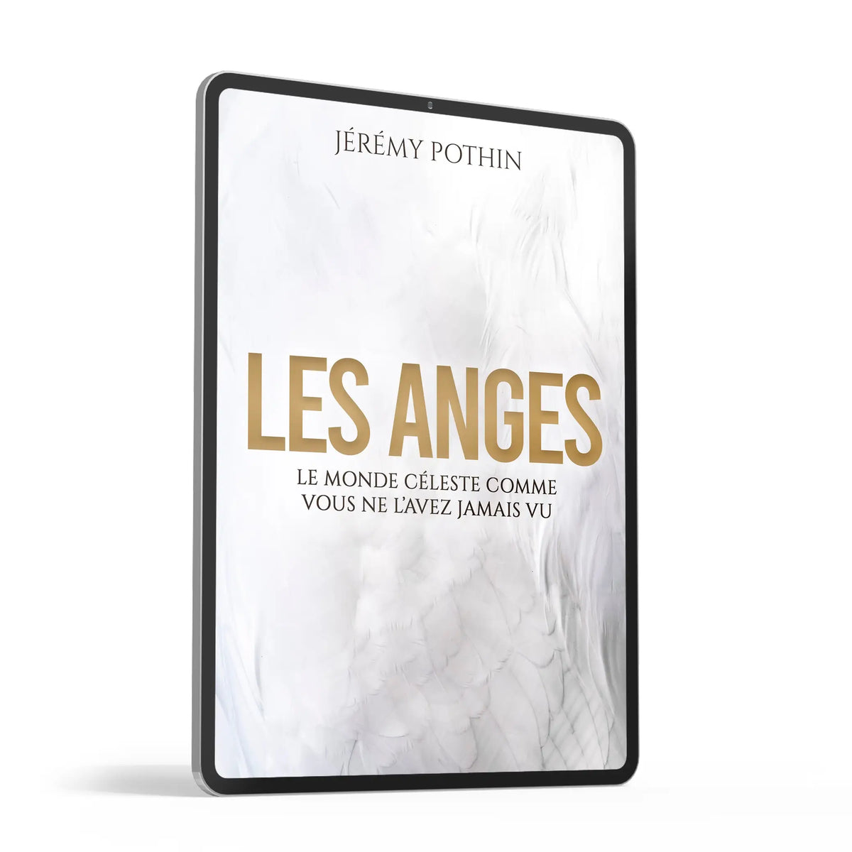 Ebook du livre LES ANGES de Jérémy Pothin