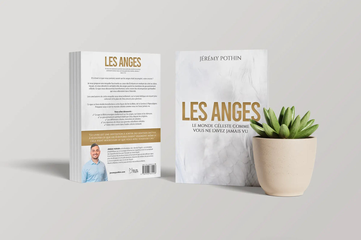 Présentation des 2 faces du livre LES ANGES de Jérémy Pothin